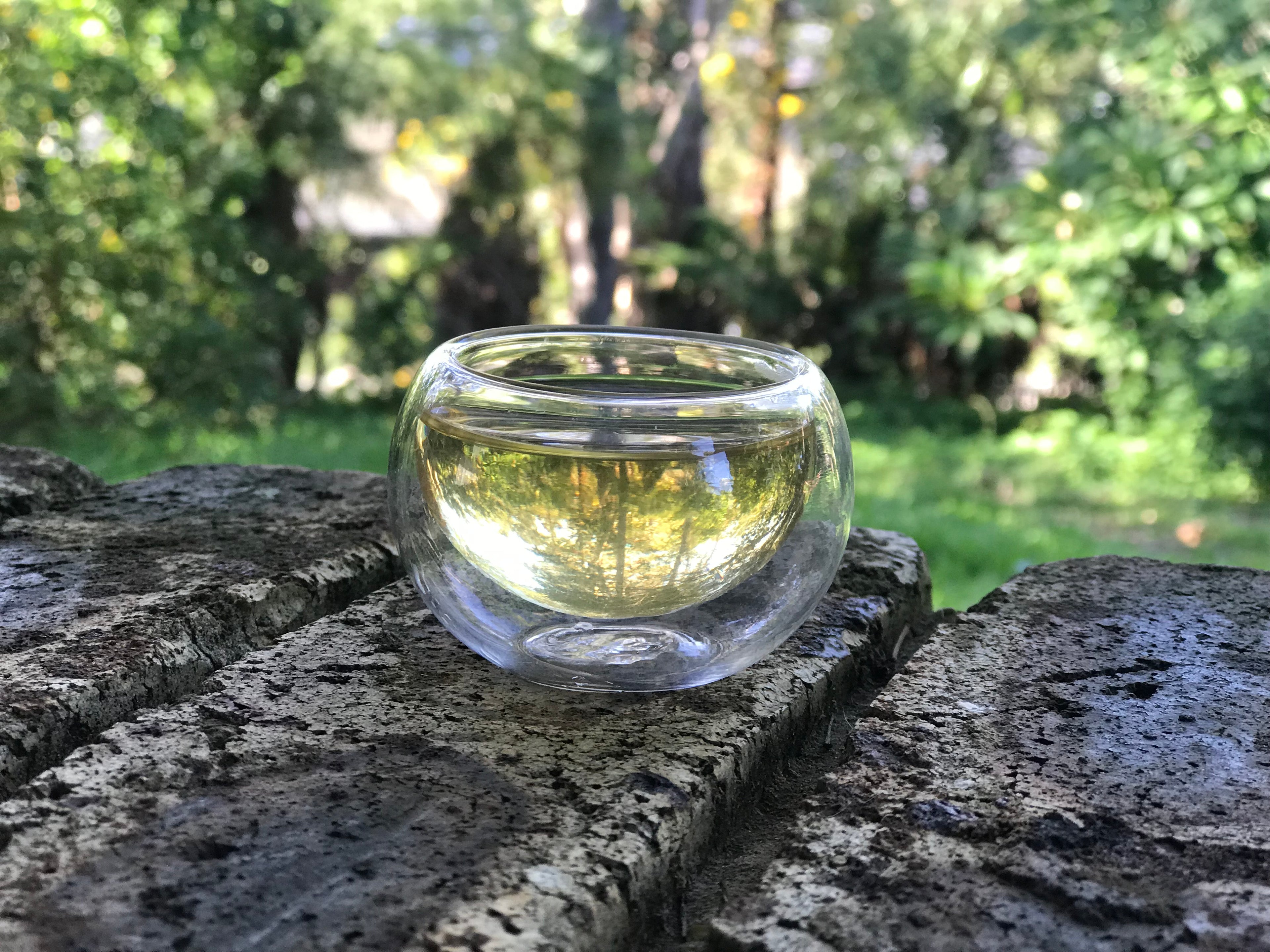 TEA ESSENTIALS | TEA WORKSHOP | TEA 101 | LIVE VIDEO WORKSHOP
