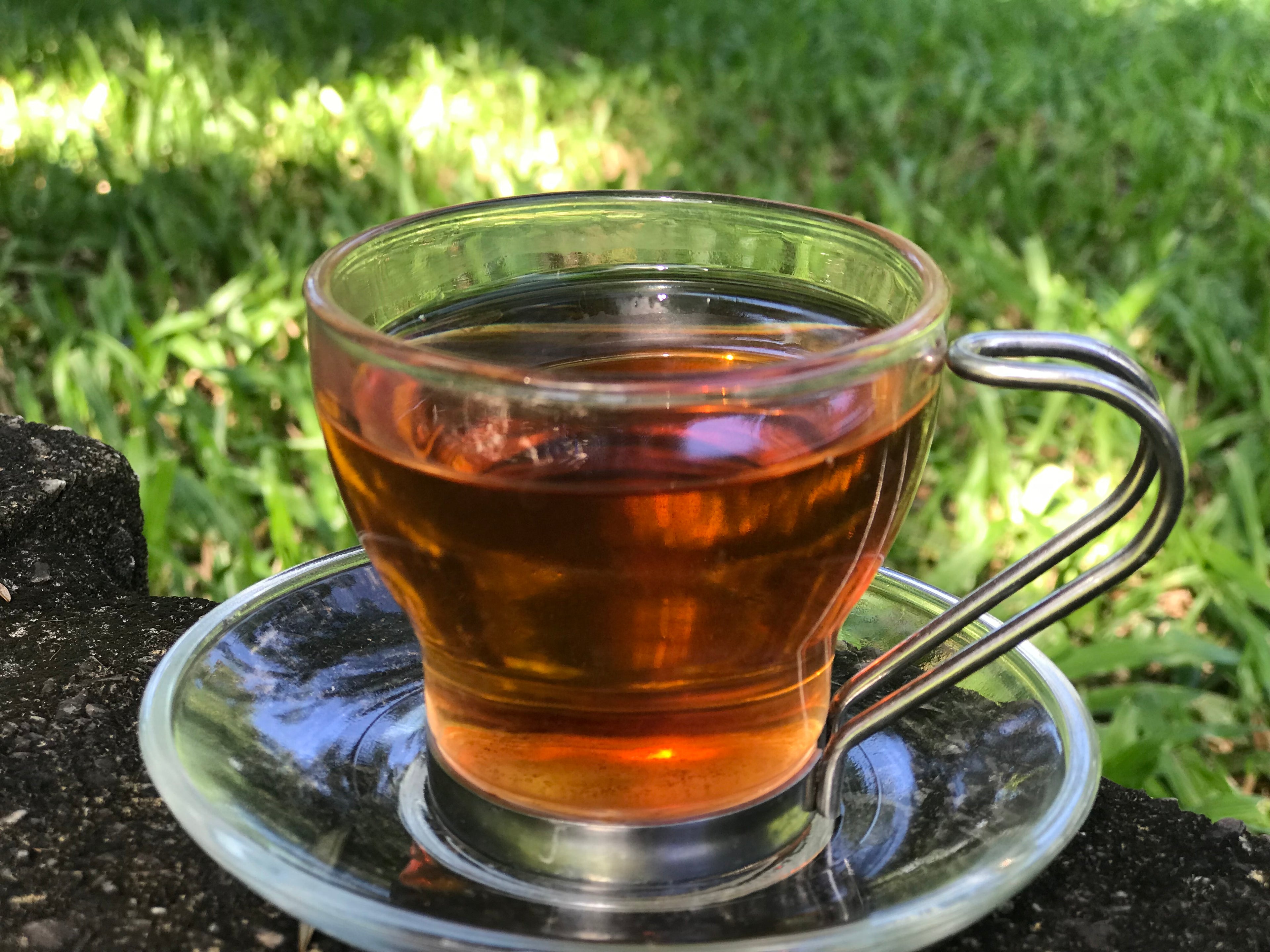 TEA ESSENTIALS | TEA WORKSHOP | TEA 101 | LIVE VIDEO WORKSHOP
