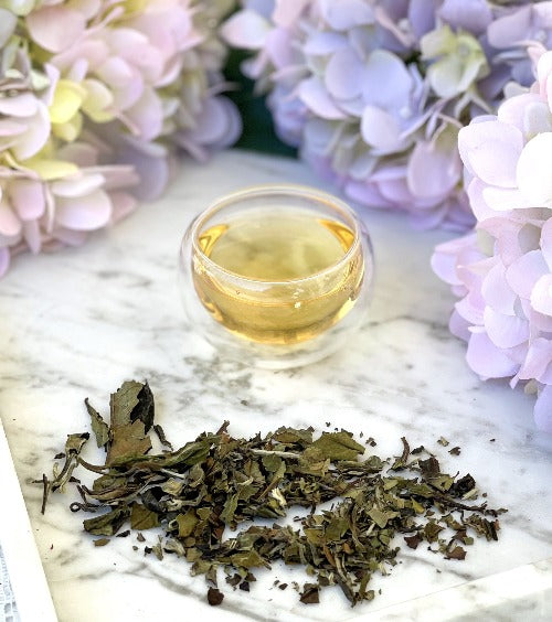 BAI MU DAN | WHITE PEONY
