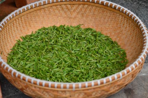 Green tea sample pack is a good introduction to a wide variety of green teas from India, China and Japan that vary in taste and style.