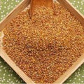 SOBA CHA | BUCKWHEAT TEA